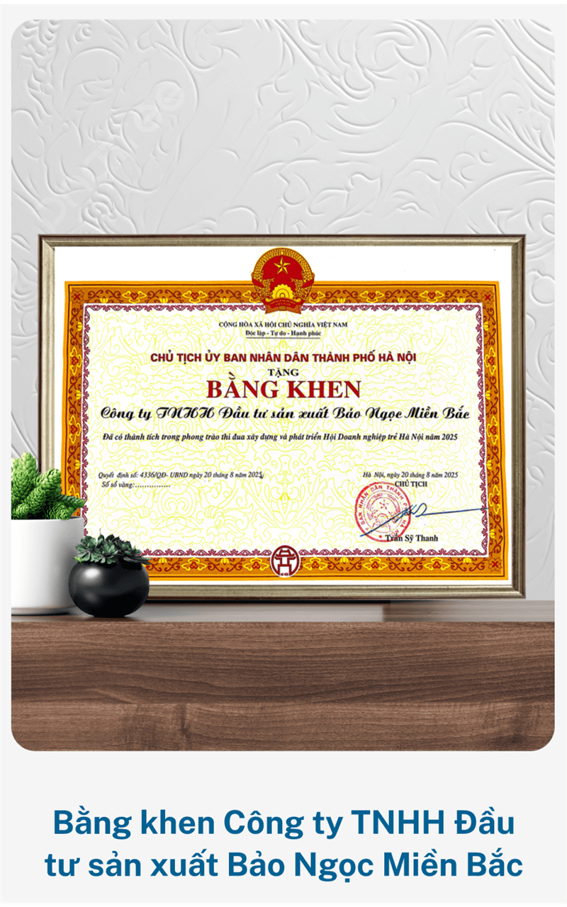 Bằng khen Công ty TNHH Đầu tư sản xuất Bảo Ngọc Miền Bắc