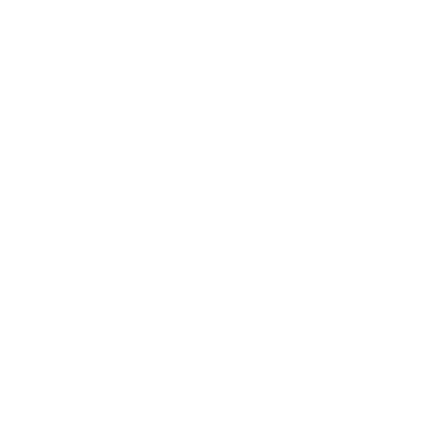 Hoa Việt