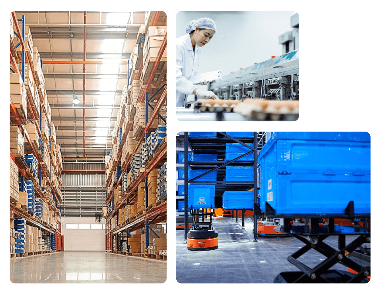 Kho vận, sản xuất và logistics của FDCG