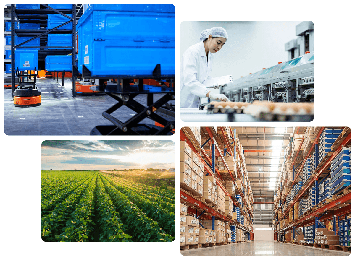 Phát triển bền vững — logistics, sản xuất, nông nghiệp, kho vận